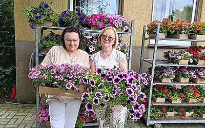 🌼 Kwiaty znów w sprzedaży! 🌼