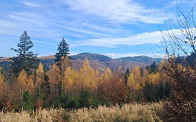 Święto Niepodległości!