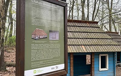 Park Leśny im. Tetmajera – jak zmienić zwykły dzień w niezwykłą wyprawę